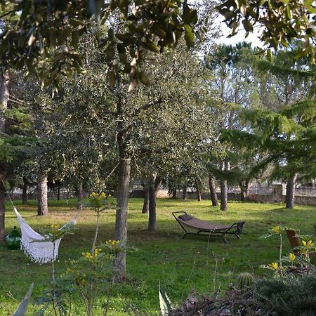 Lavanda Apartment - Villaggio Di Mary Locorotondo Zewnętrze zdjęcie